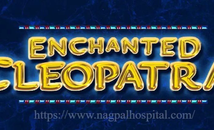 https://www.nagpalhospital.com/